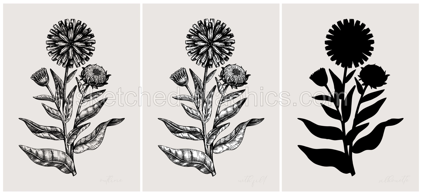 Collage style herbs vector illustration. Herbal plants and flowers sketches. Trendy floral design with botanical hand drawings. For print, poster, wall art, cards in vintage style. Calendula design Illustration
